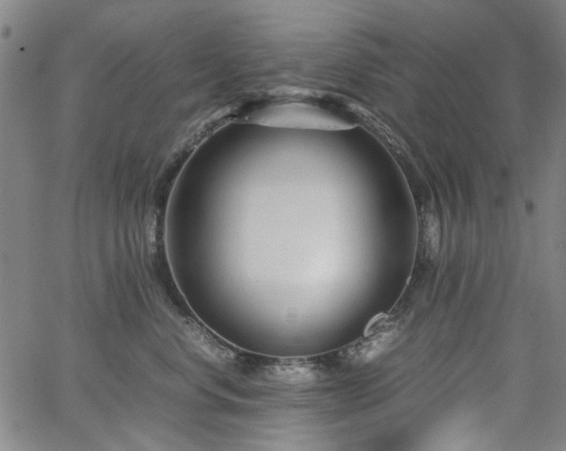 X0000063520668200601201434