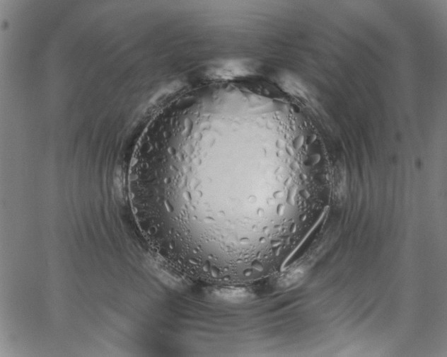 X0000063520669200601201434