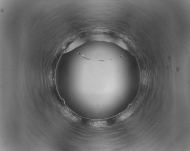 X0000063520670200601201434