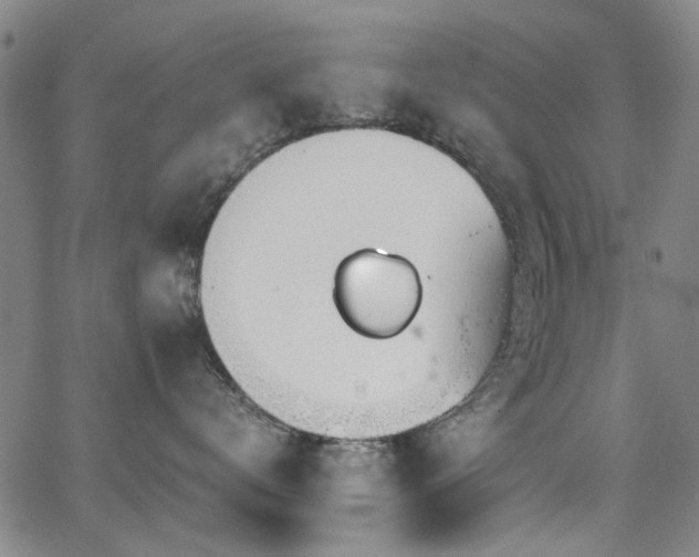 X0000063520672200601201434