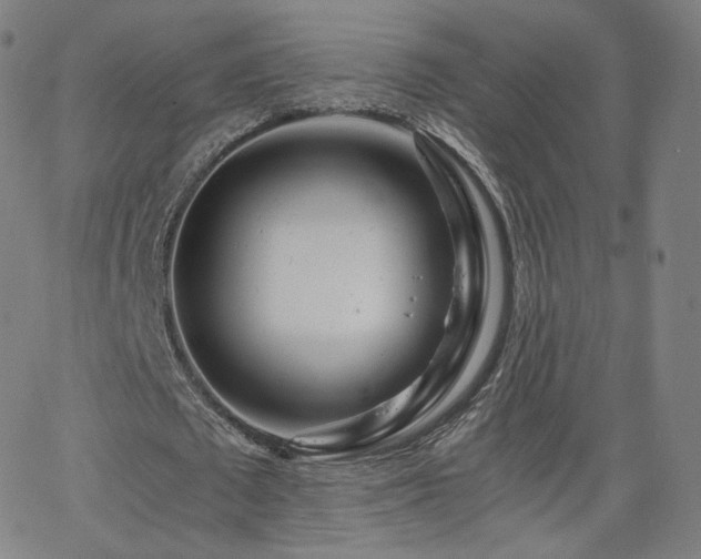 X0000063520673200601201434