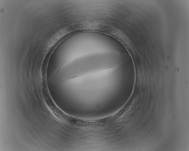 X0000063520674200601201434