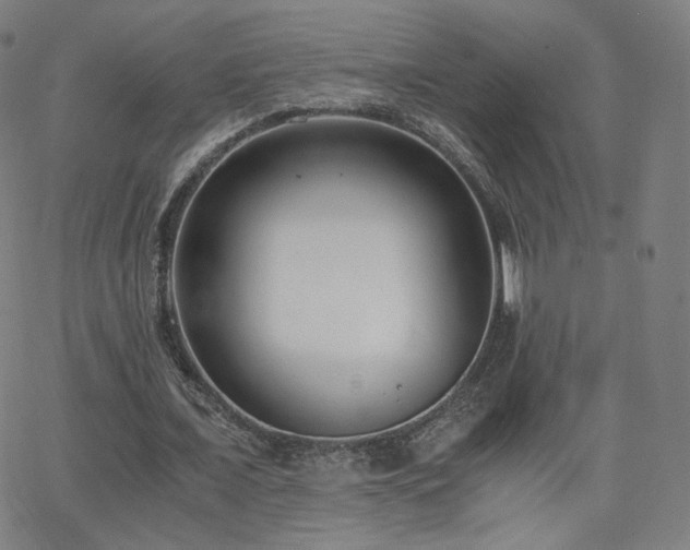 X0000063520675200601201434