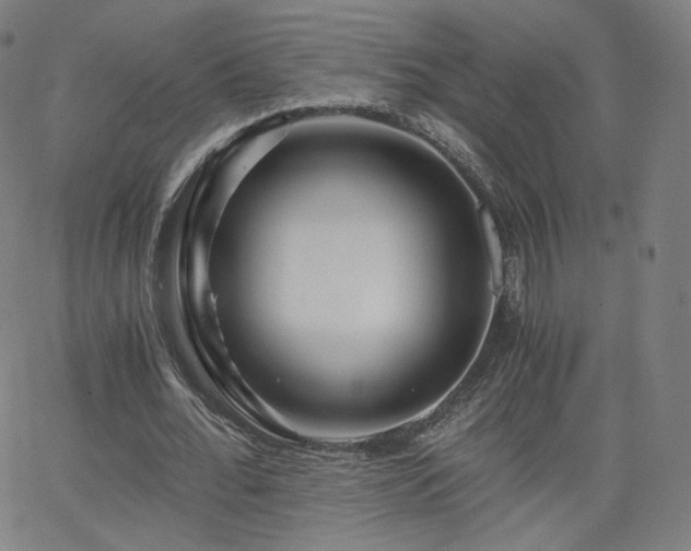 X0000063520676200601201433