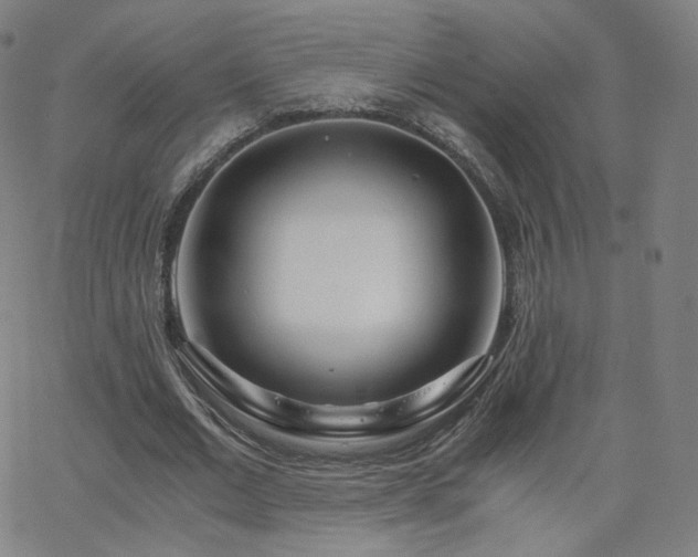 X0000063520677200601201433