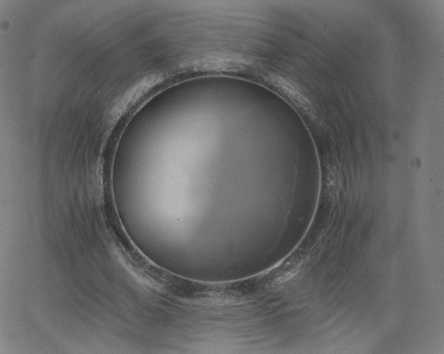 X0000063520678200601201433