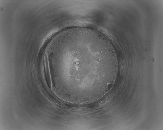 X0000063520679200601201433