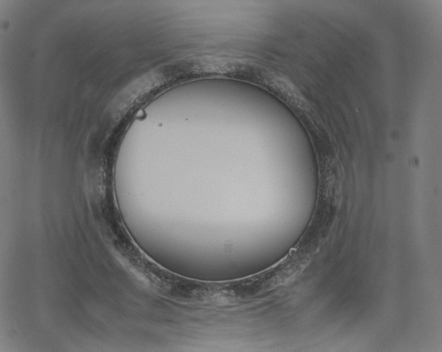 X0000063520683200601201433