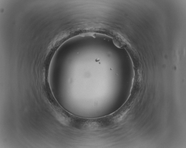 X0000063520685200601201433