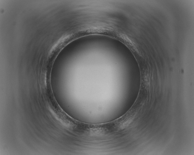 X0000063520686200601201433