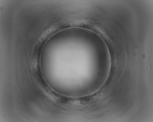 X0000063520687200601201433