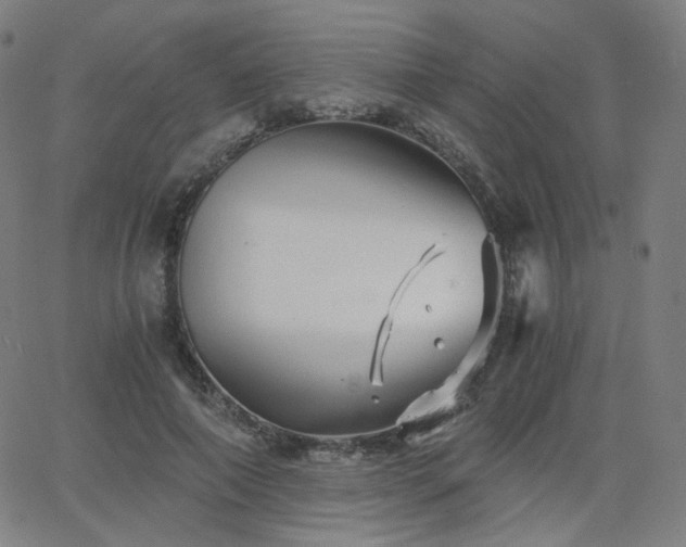 X0000063520690200601201433