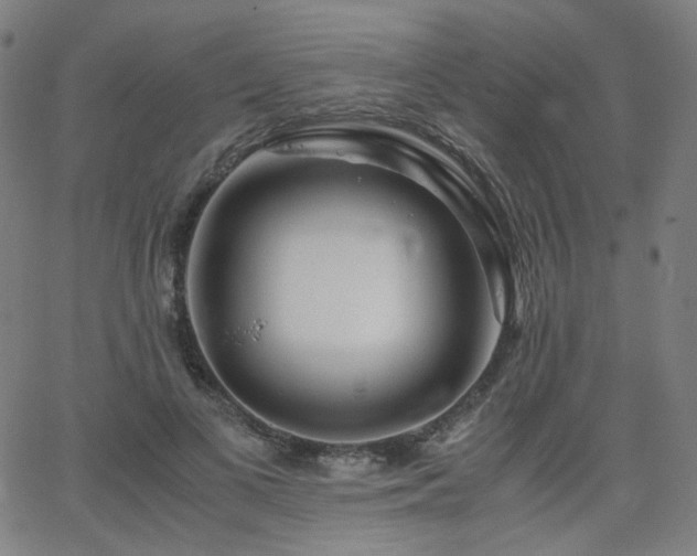 X0000063520693200601201433