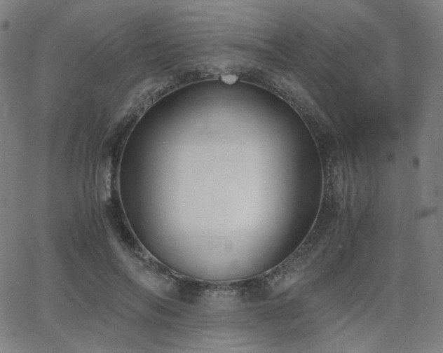 X0000063520694200601201433