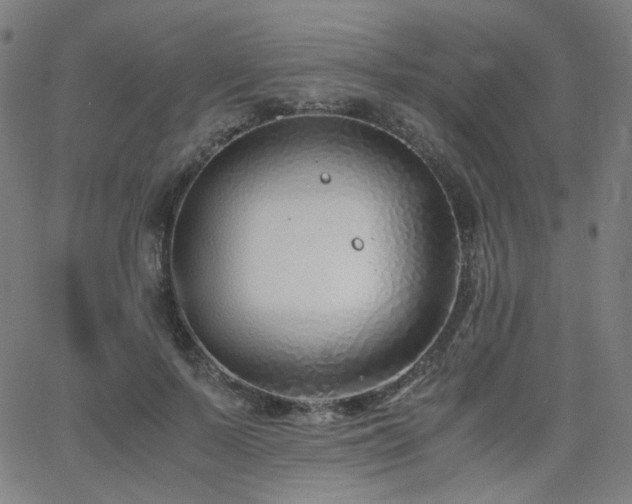 X0000063520695200601201433