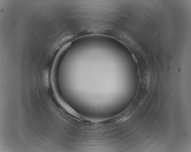 X0000063520696200601201433