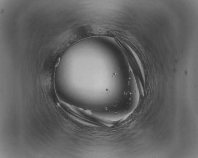 X0000063520697200601201433