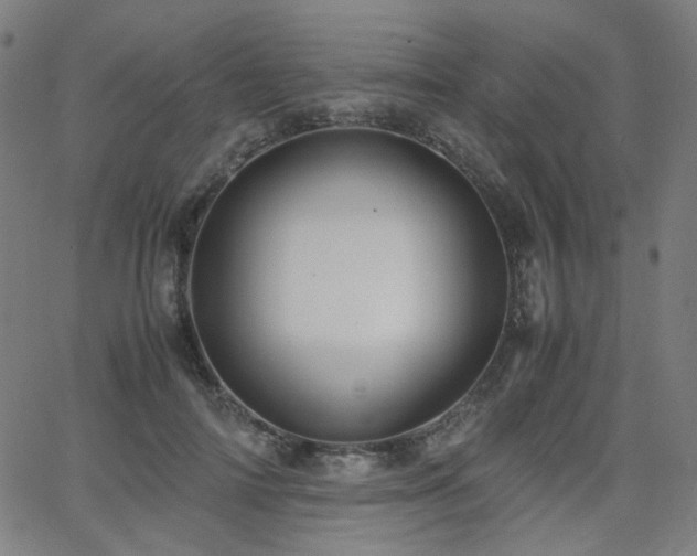 X0000063520698200601201433