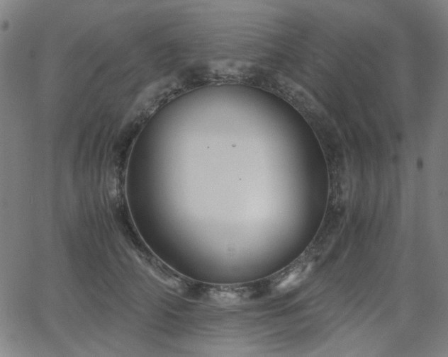 X0000063520706200601201433