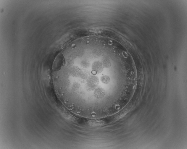 X0000063520707200601201433