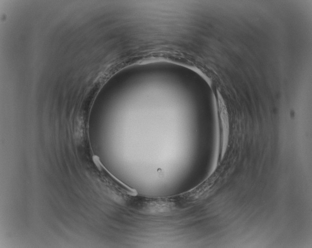 X0000063520708200601201433