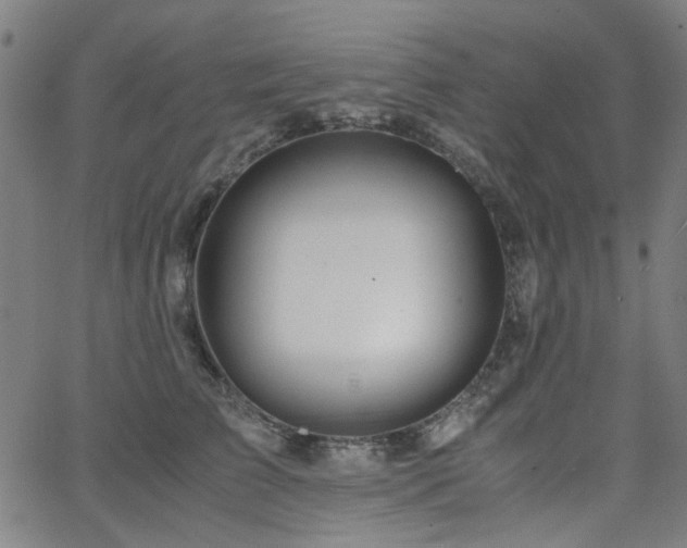 X0000063520709200601201433