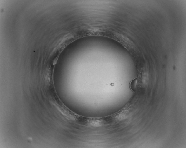 X0000063520710200601201433