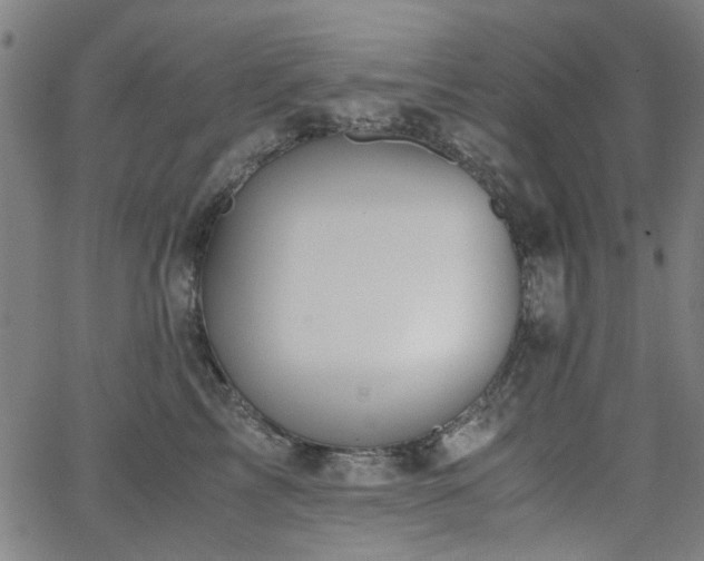 X0000063520713200601201433