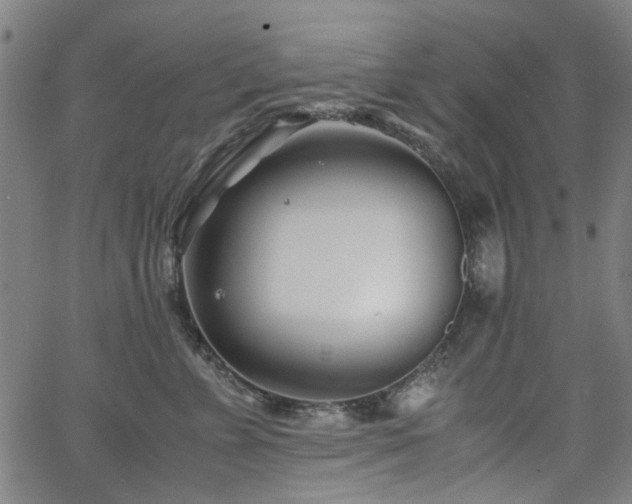 X0000063520715200601201433