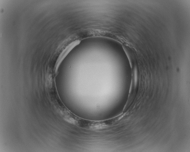 X0000063520716200601201433