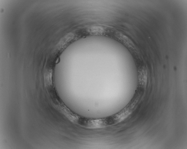 X0000063520717200601201433