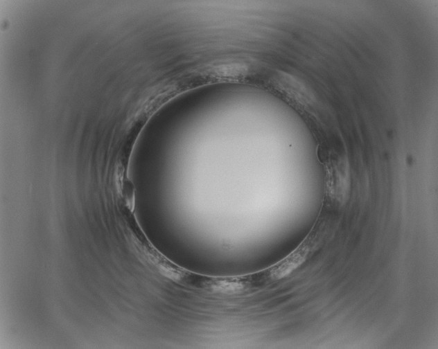 X0000063520718200601201433