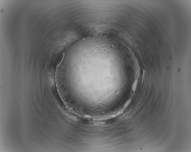 X0000063520719200601201433