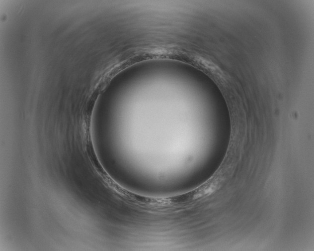 X0000063520720200601201433