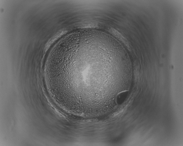 X0000063520721200601201432