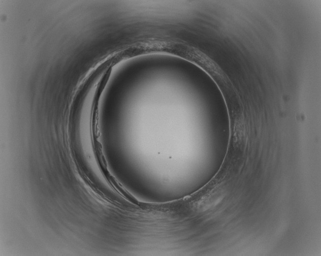 X0000063520722200601201432