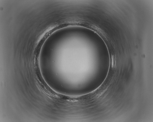 X0000063520723200601201432