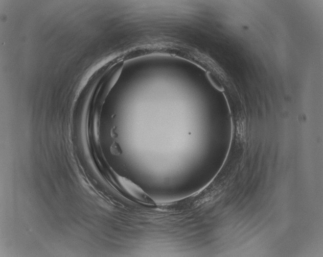 X0000063520724200601201432