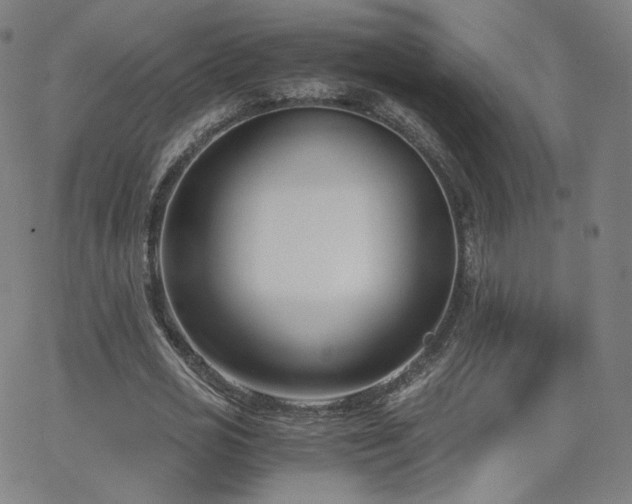 X0000063520725200601201432