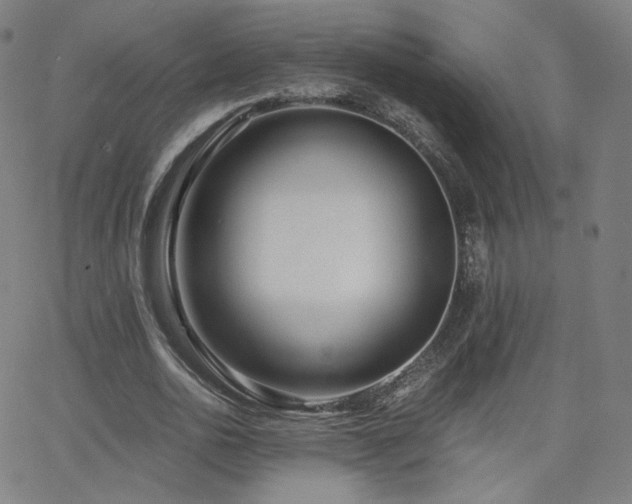 X0000063520726200601201432