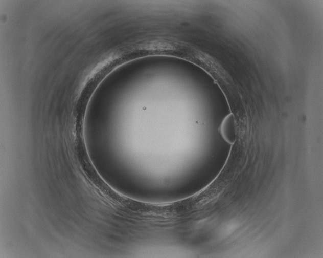 X0000063520727200601201432