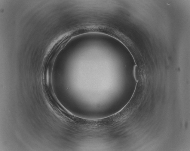 X0000063520728200601201432