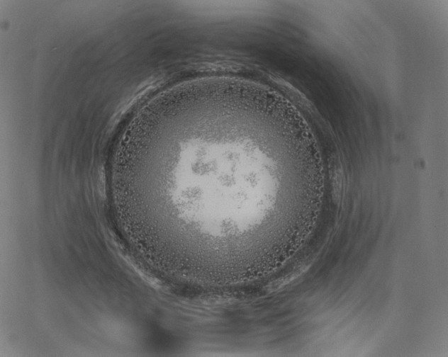 X0000063520729200601201432