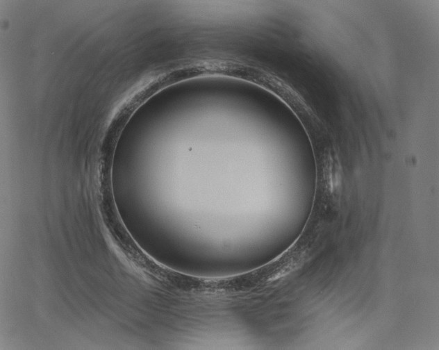 X0000063520730200601201432