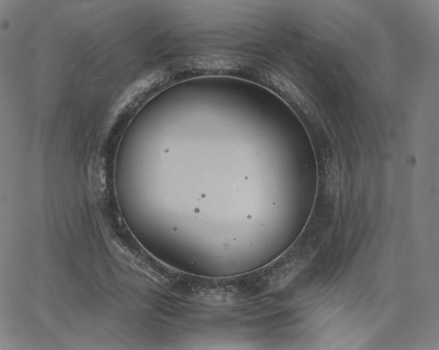 X0000063520731200601201432