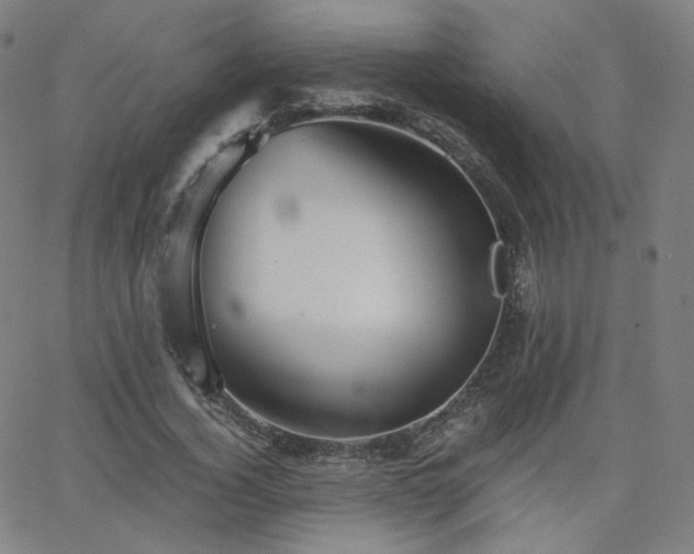 X0000063520732200601201432