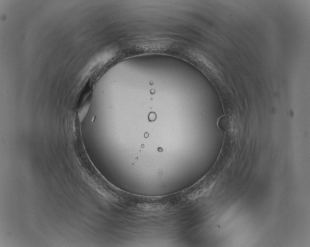 X0000063520733200601201432