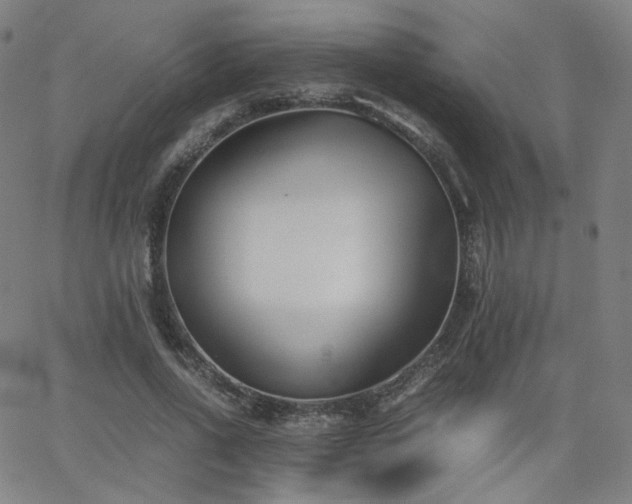 X0000063520734200601201432