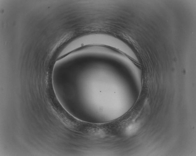 X0000063520735200601201432