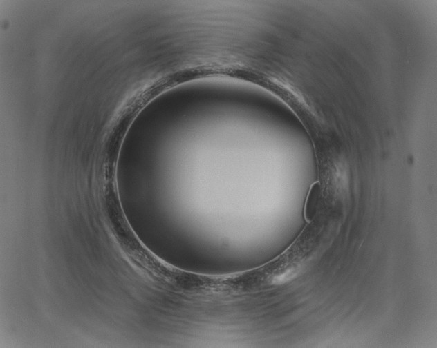 X0000063520736200601201432